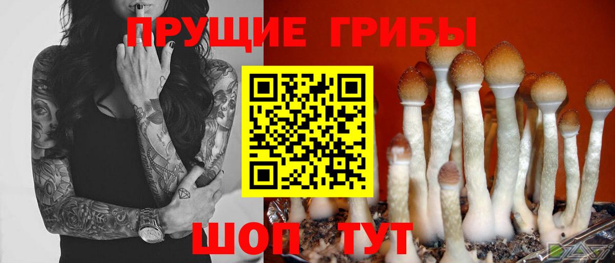 Галлюциногенные грибы Cubensis Междуреченск